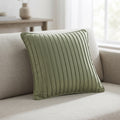 Velvet Cushion Pair – 16 x 16 Inches