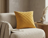 Velvet Cushion Pair – 16 x 16 Inches